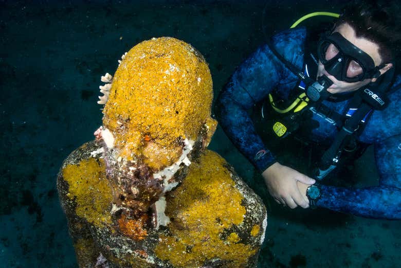 Observando la biodiversidad marina
