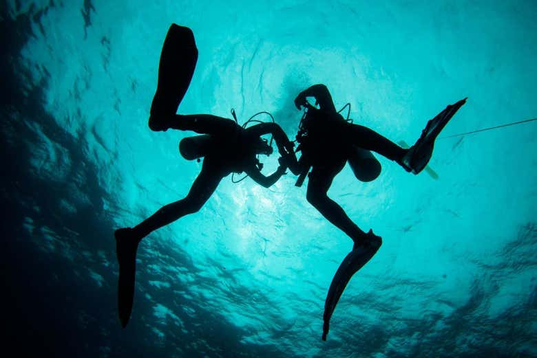 Learn how to dive in Cancun