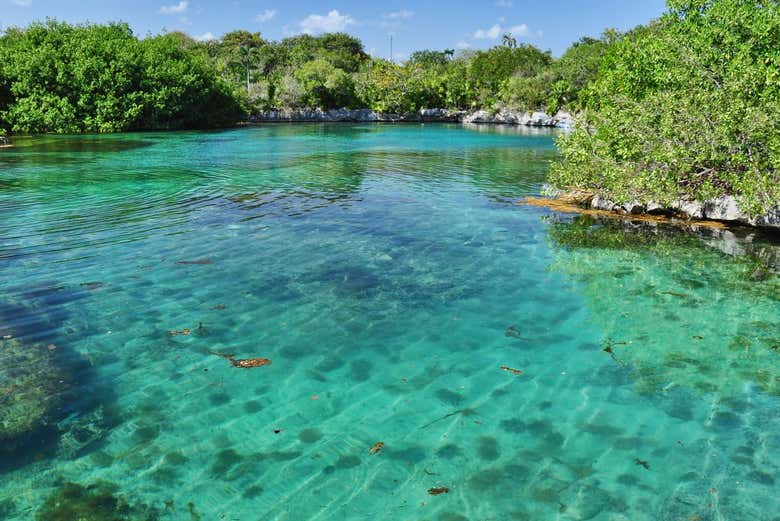 El parque ecológico de Xel-Ha