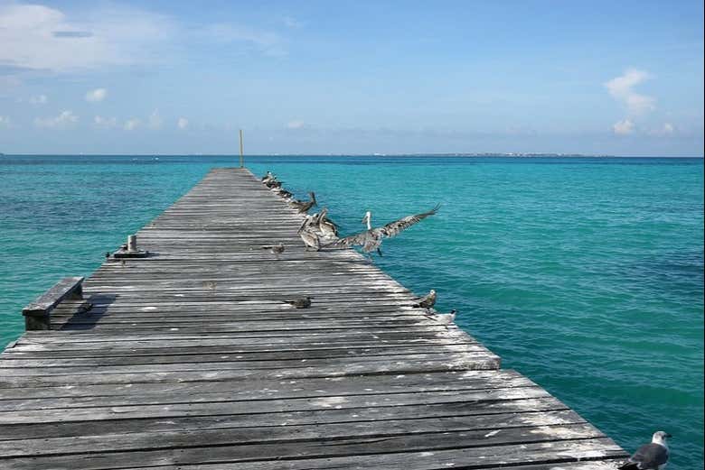 Wood walkway