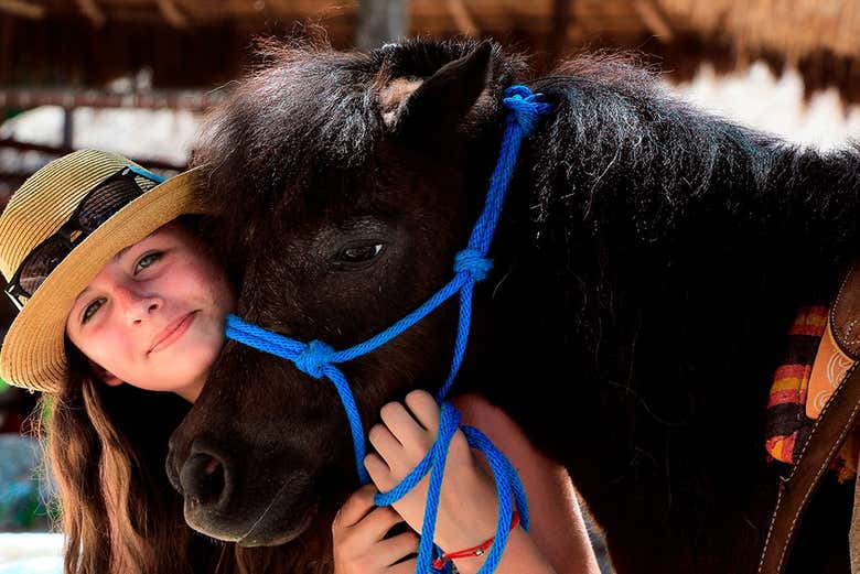 Equinos del Rancho Bonanza