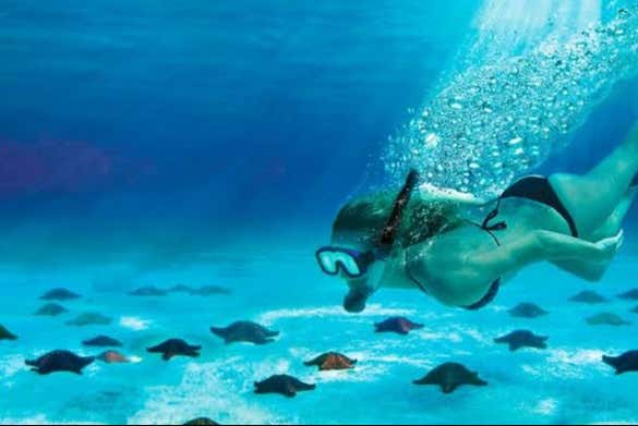 Explorando o fundo marinho de Cozumel