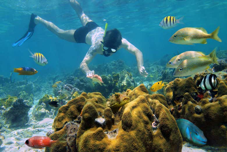 Snorkeling a Tulum e Chikin Ha da Cancún