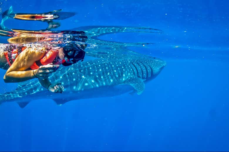 Durante a atividade de snorkel