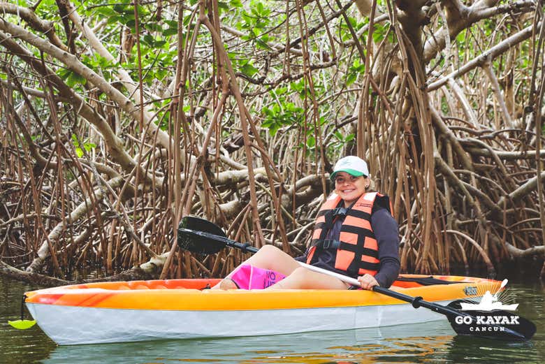 Mangroves