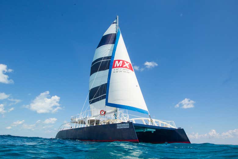 ¿Preparados para un viaje inolvidable en catamarán?