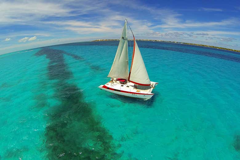 Catamarã da excursão