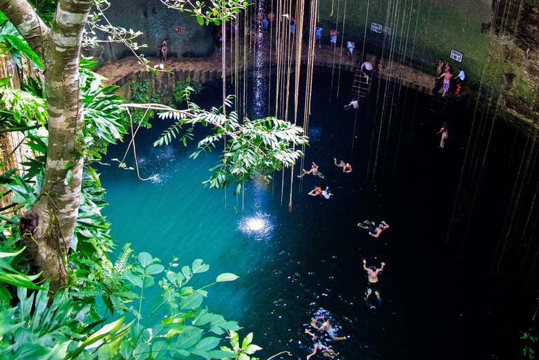 Tomando un baño en el cenote