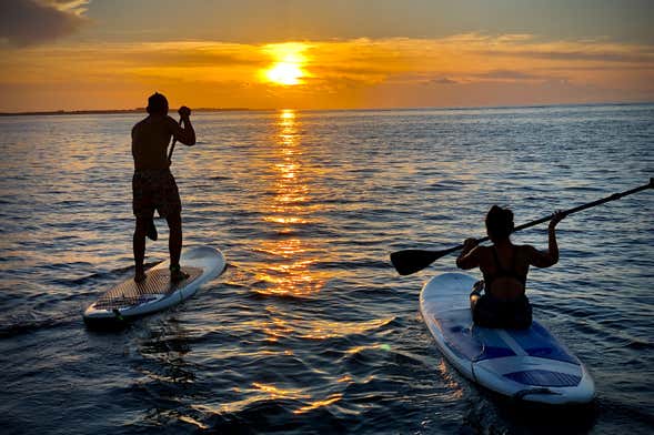 Sunrise Paddle Surf Cancun