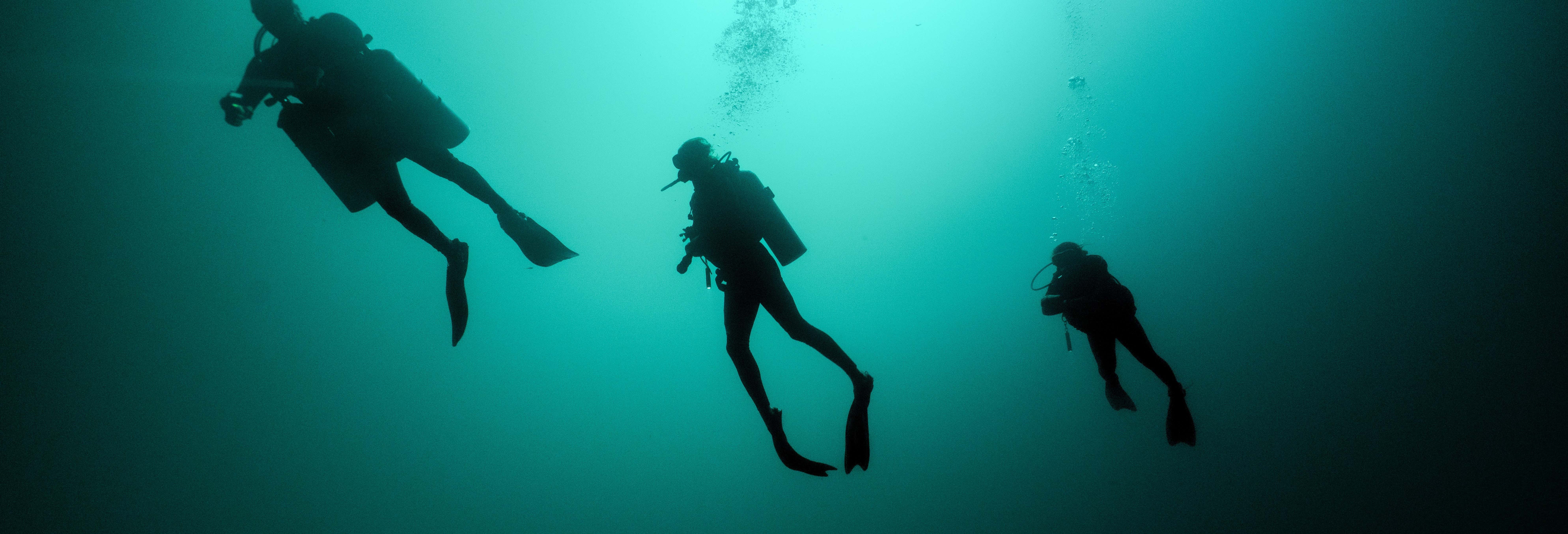 Immersioni a Cancún