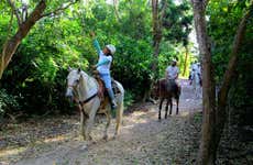 Paseo a caballo por el Rancho Bonanza