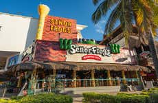 Señor Frog's Cancun Reservation