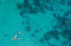 Snorkeling a Cancún