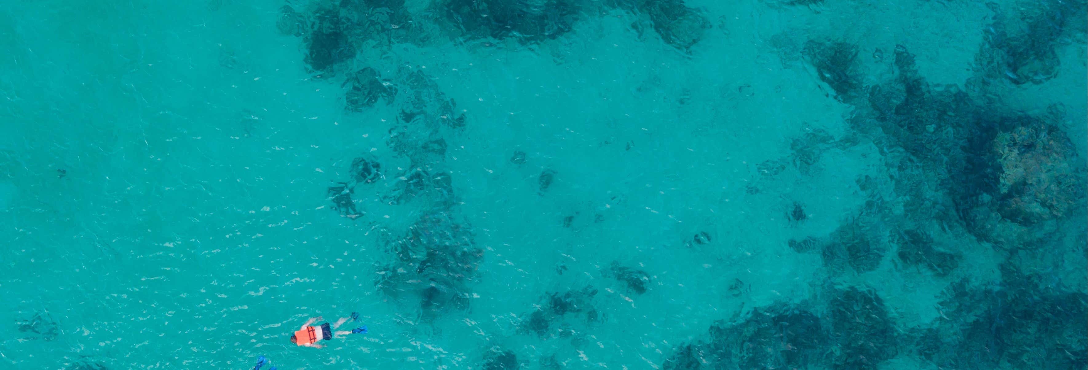 Snorkel en Cancún