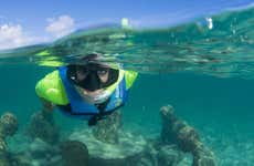 MUSA Snorkeling Tour