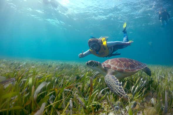 Cancun Private Night Snorkeling Experience