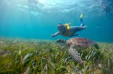 Experiencia privada de snorkel nocturno en Cancún