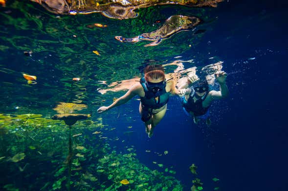 Excursión a Xenotes