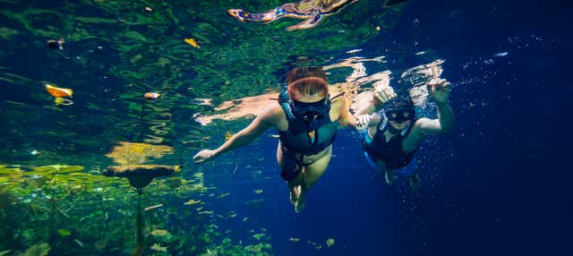Excursión a Xenotes