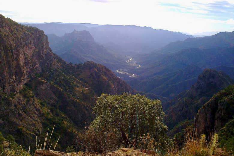Cañón de urique, Mirador Cerro del Gallego 