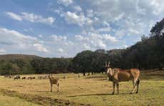 Entrada al Bioparque Estrella