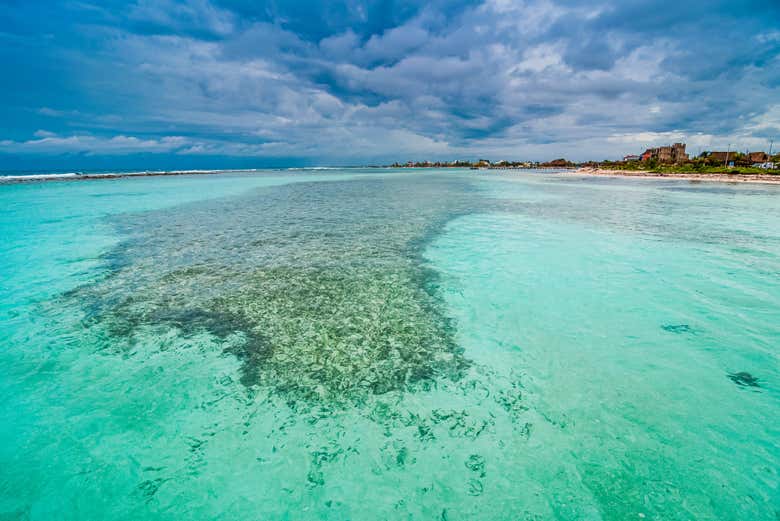 Excursión a Mahahual