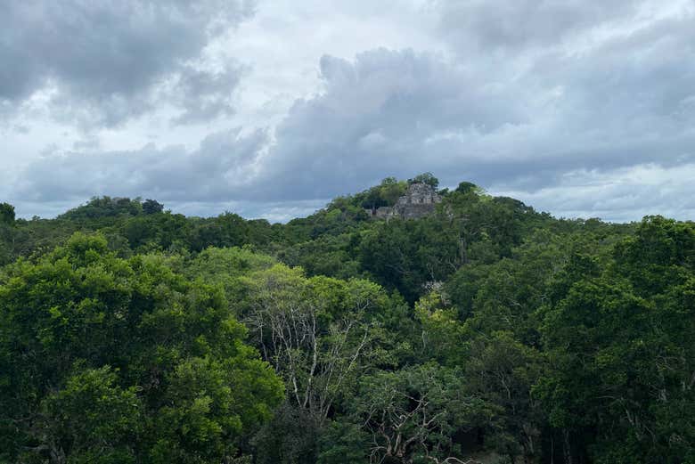 O templo emerge da densa selva