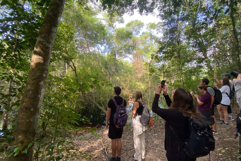 Com um pouco de sorte, veremos a fauna local