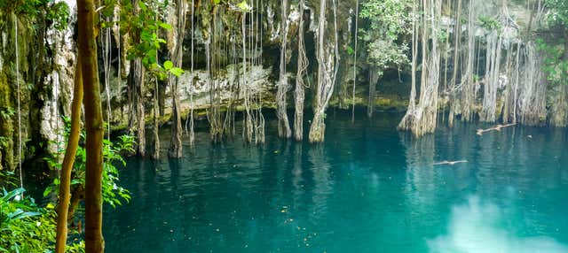 Cenote Yokdzonot Ticket