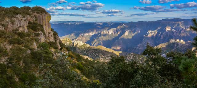 Copper Canyon Excursion