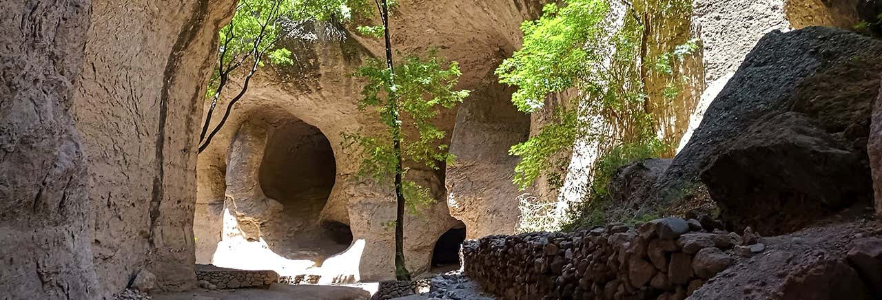 Excursiones de un día en Chihuahua