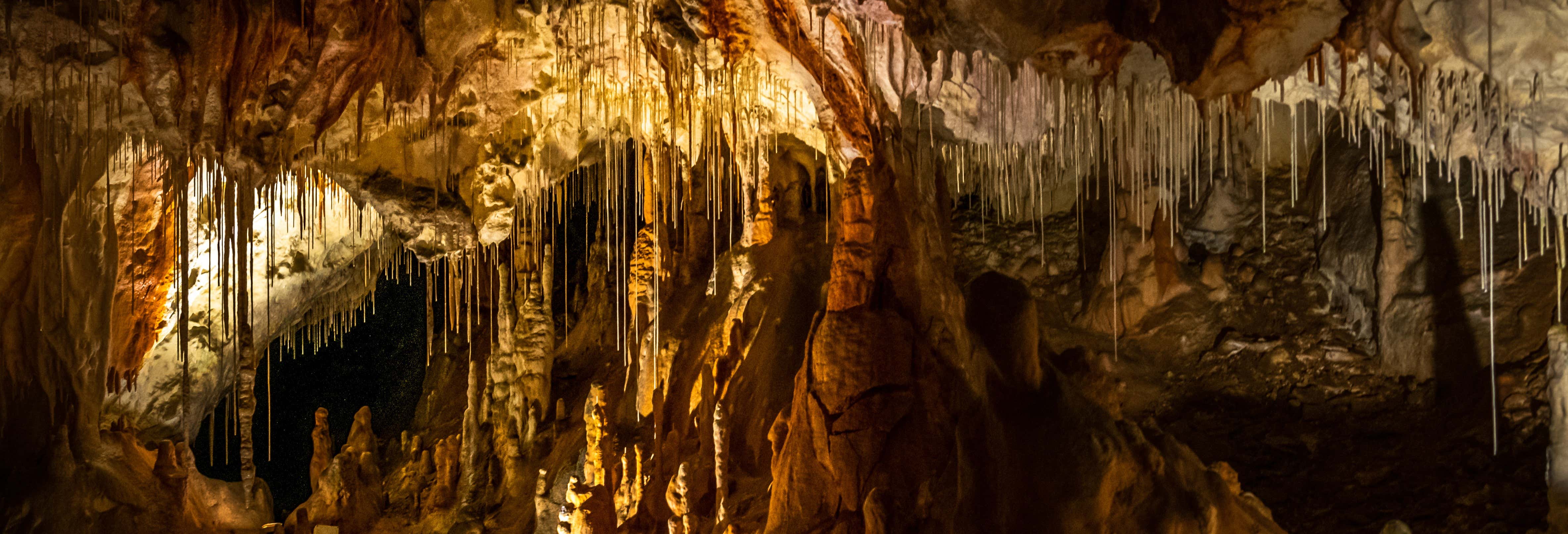 Excursões de um dia em Chihuahua