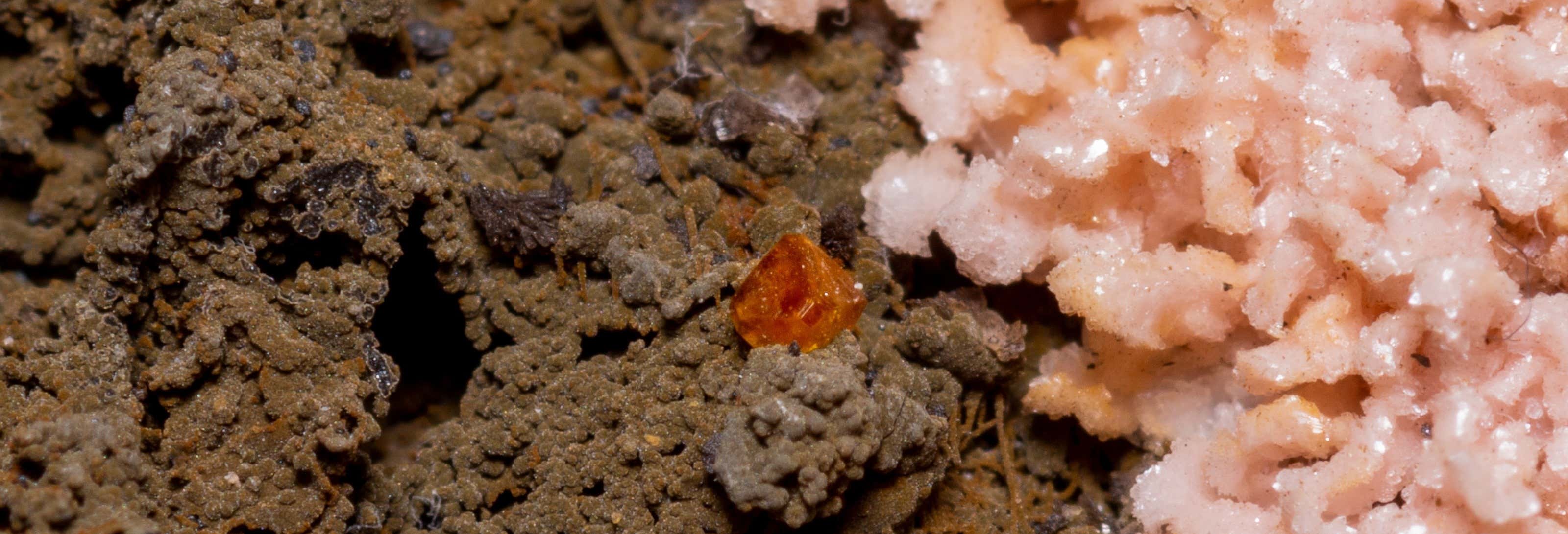 Visitas guiadas y free tours en Chihuahua