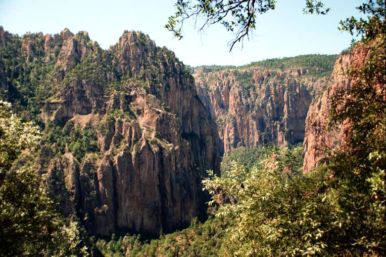 Canyon di Basaseachi