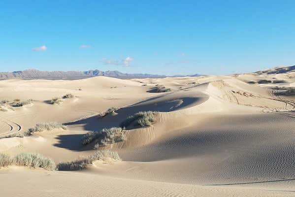 Sandboarding on the  Samalayuca dunes