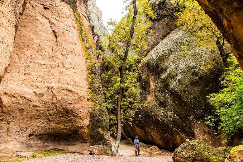 ¿Estáis listos para una aventura inolvidable?