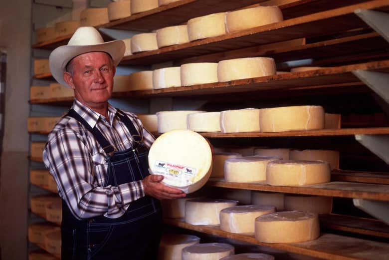 Mennonite cheese