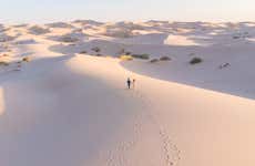 Sandboarding en las dunas de Samalayuca