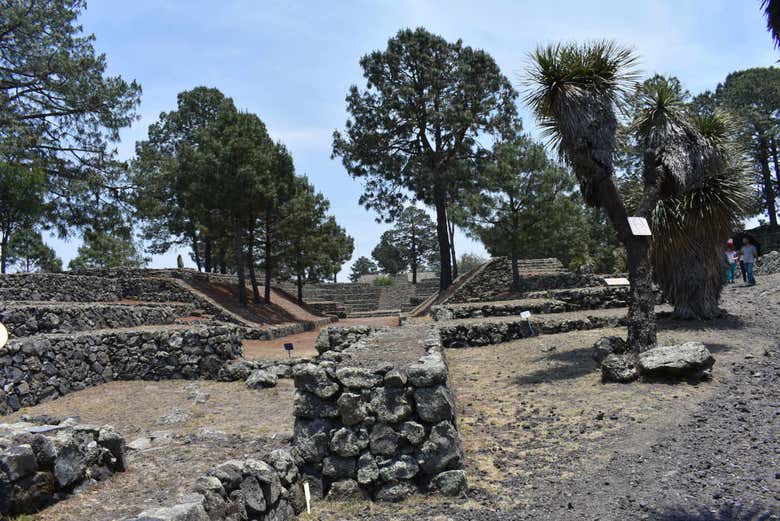 Vestiges précolombiens de Cantona