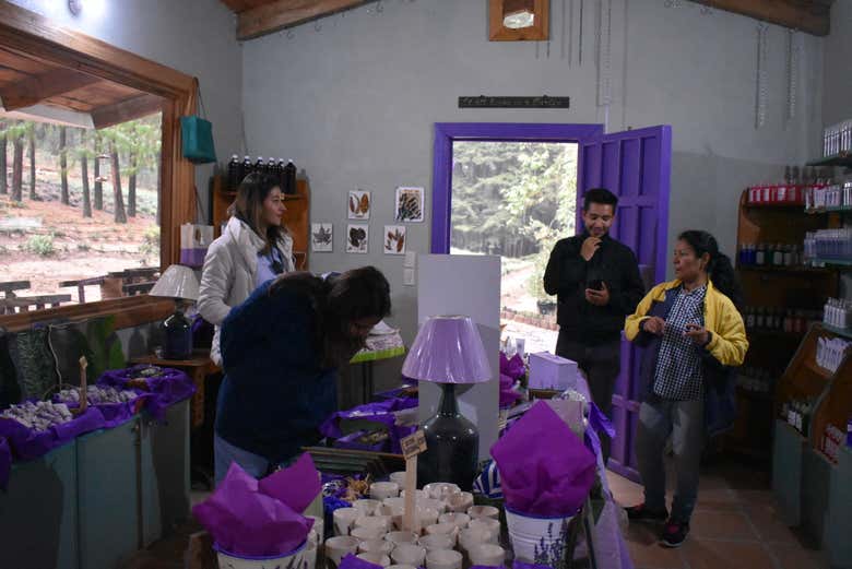 Loja de lavanda no rancho