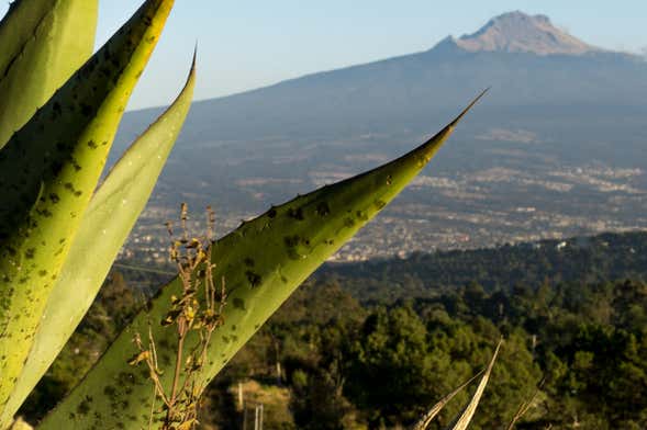 Randonnée dans le Parc National de La Malinche