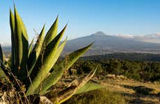 Senderismo por el Parque Nacional La Malinche