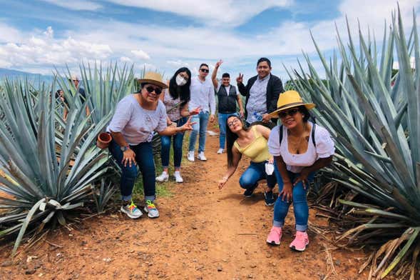 Tour de 2 dias por Tequila, Tlaquepaque e Guadalajara