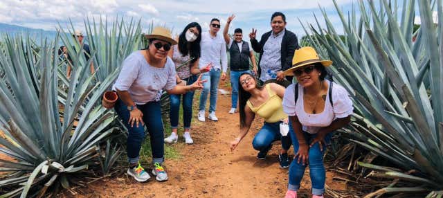 Tour de 2 días por Tequila, Tlaquepaque y Guadalajara