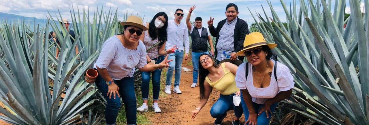 Excursiones de varios días en Ciudad de México