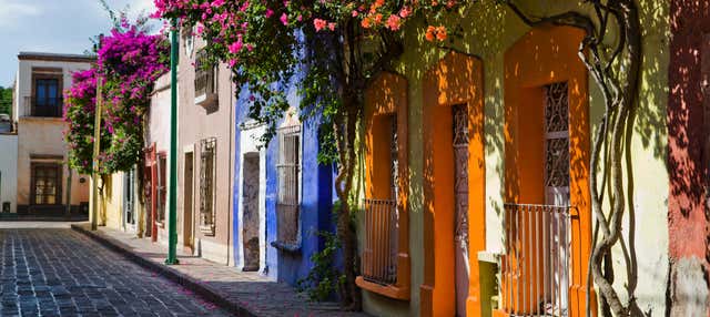 9-Day Viceregal Cities Tour