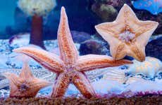 Inbursa Aquarium Ticket