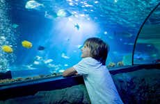 Entrada al Acuario Inbursa + Transporte