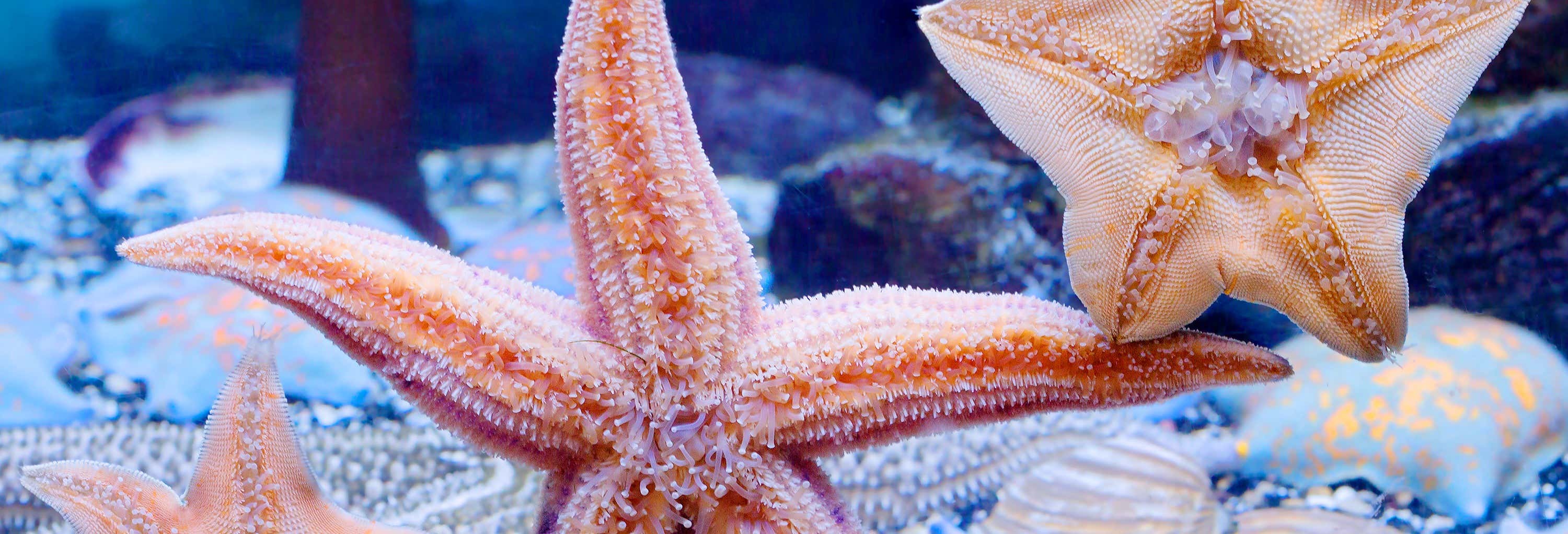 Zoos and aquariums in Mexico City