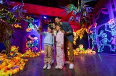 Entrada a Odisea México + Transporte